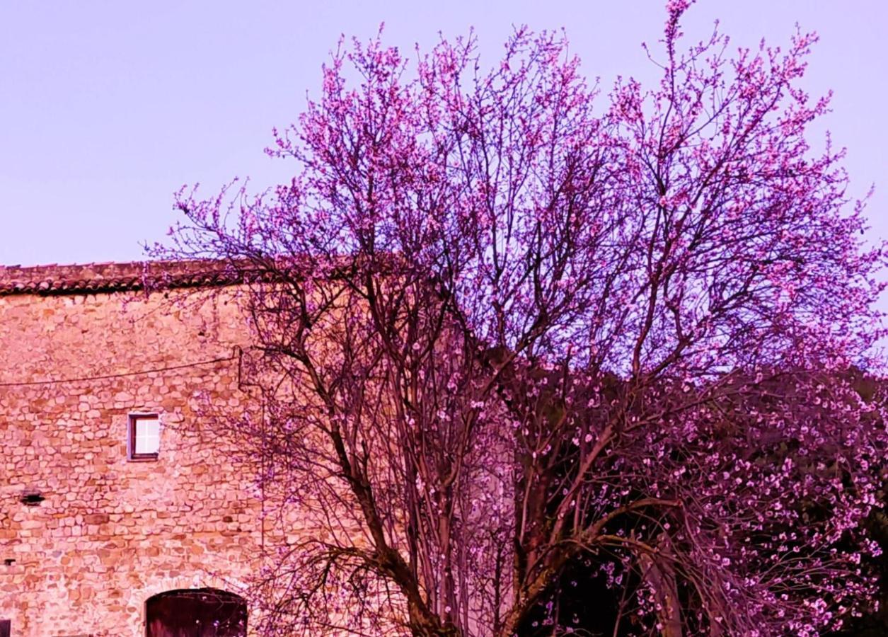 El Castell De Seguero Apartment Beuda Exterior photo
